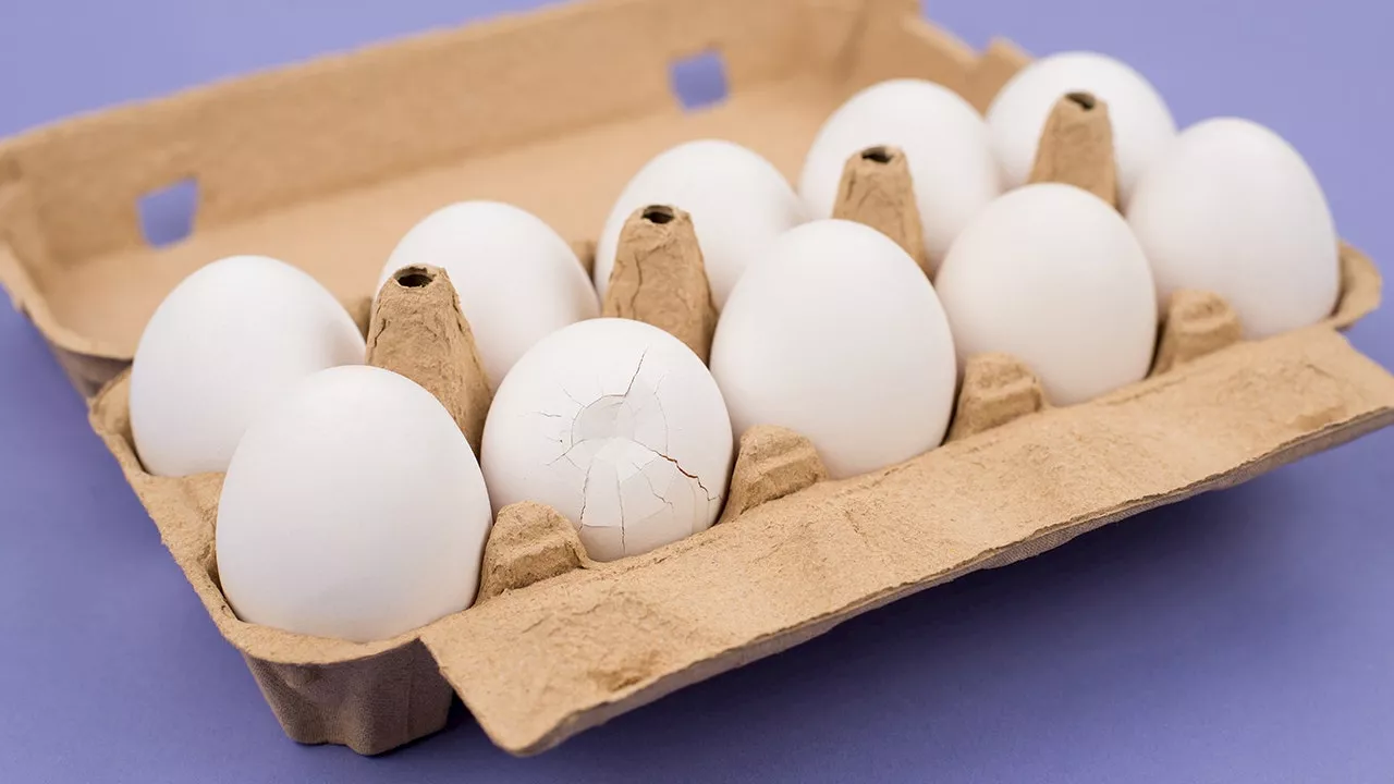 Cracked Eggs: Can You Still Use Them?