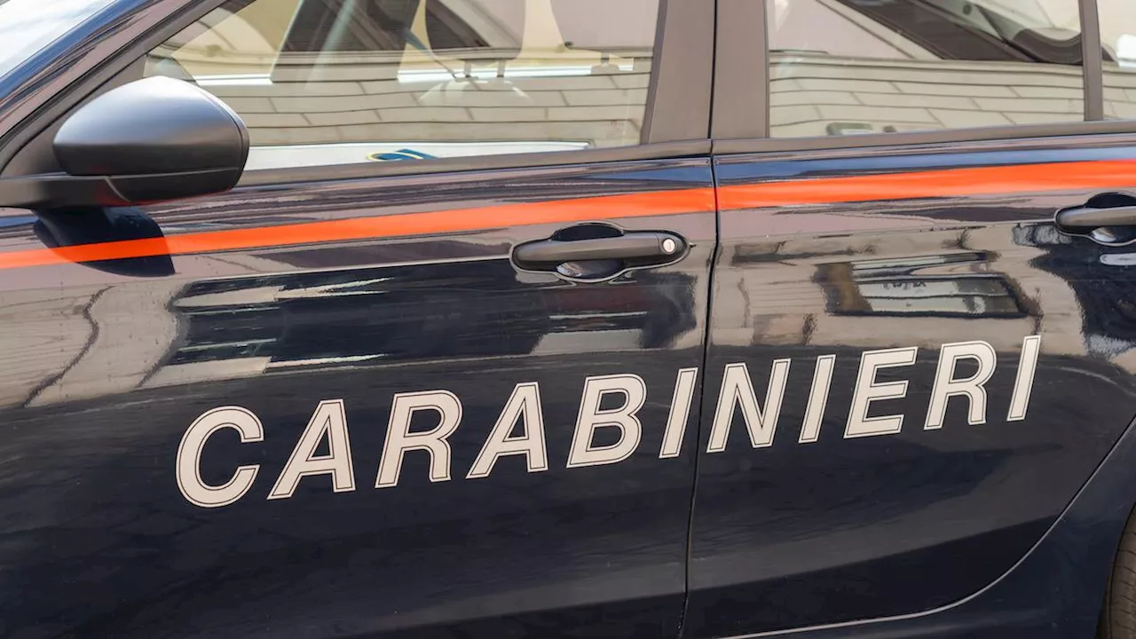 Ex Sciatrice Italiana Vera Schenone Arrestato per Sparo al Vicino