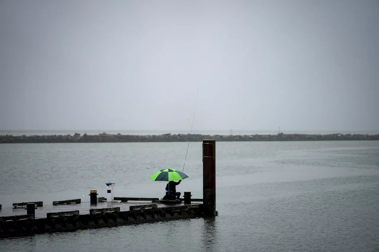 Vancouver's 2024 Sees Wettest Year This Century