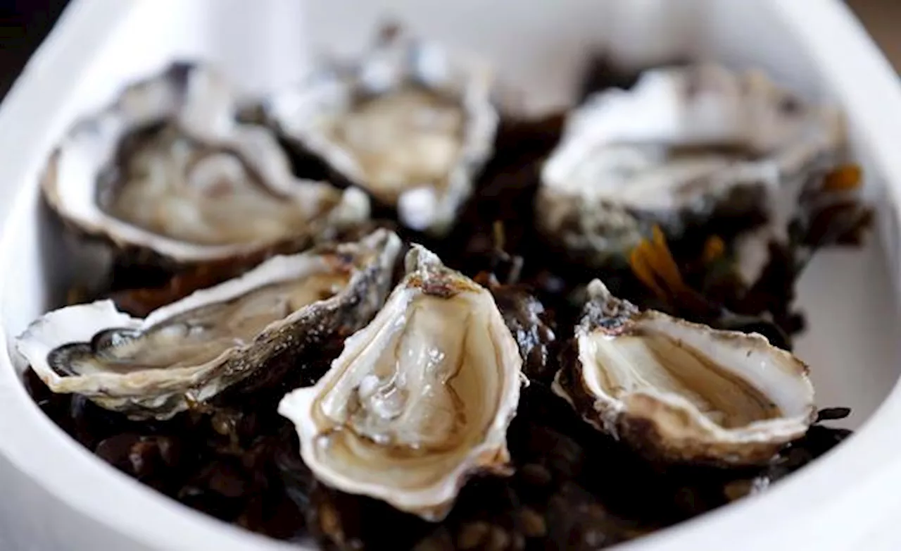 French Oyster Industry Hit by Norovirus Contamination