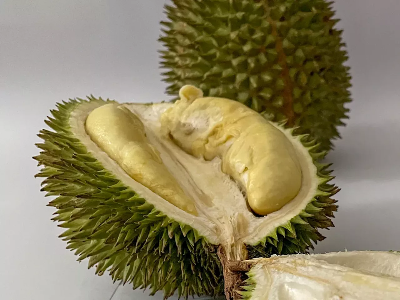 Aroma Durian Menguar di Balikpapan