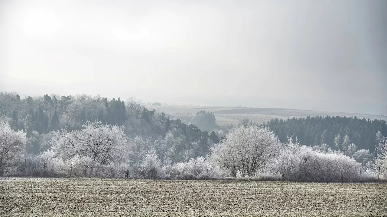 Wettervorhersage Österreich: Regen und Südföhn