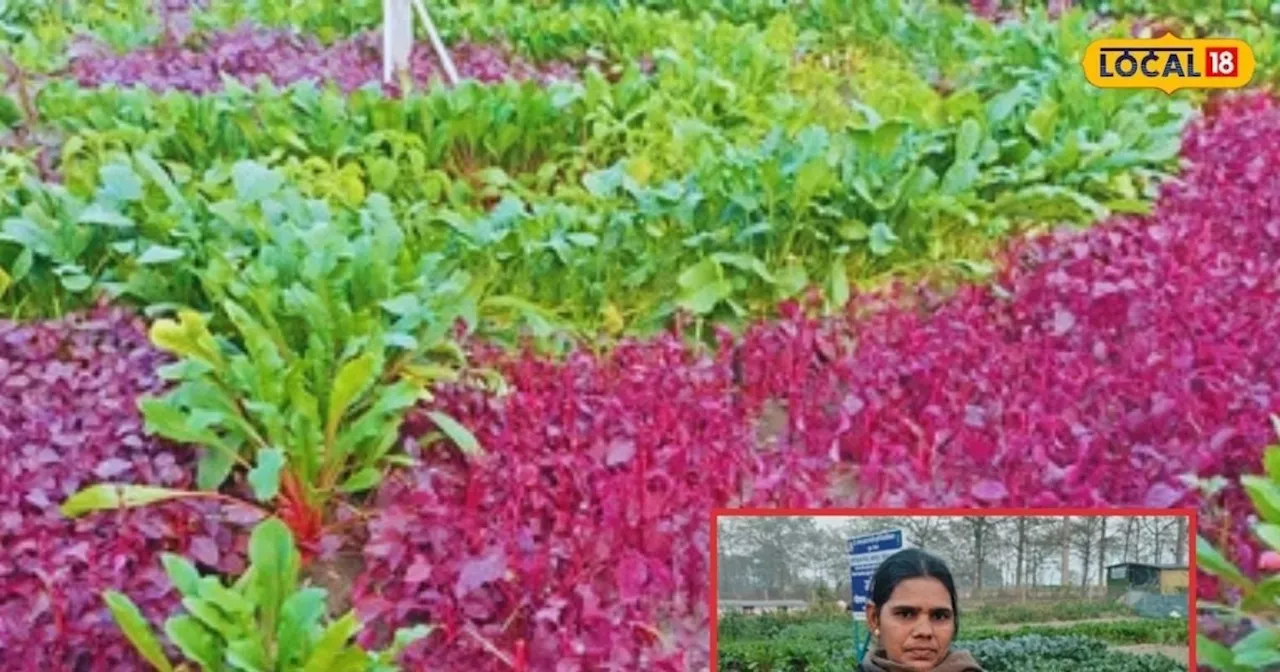 पोषण वाटिका मॉडल: किसानों को सालभर फल सब्जियों का उत्पादन