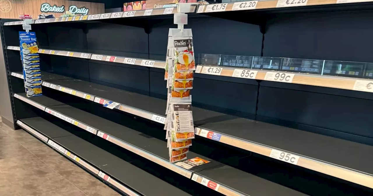 Ireland's Cold Snap Triggers Panic Buying as Supermarkets Run Out of Essentials