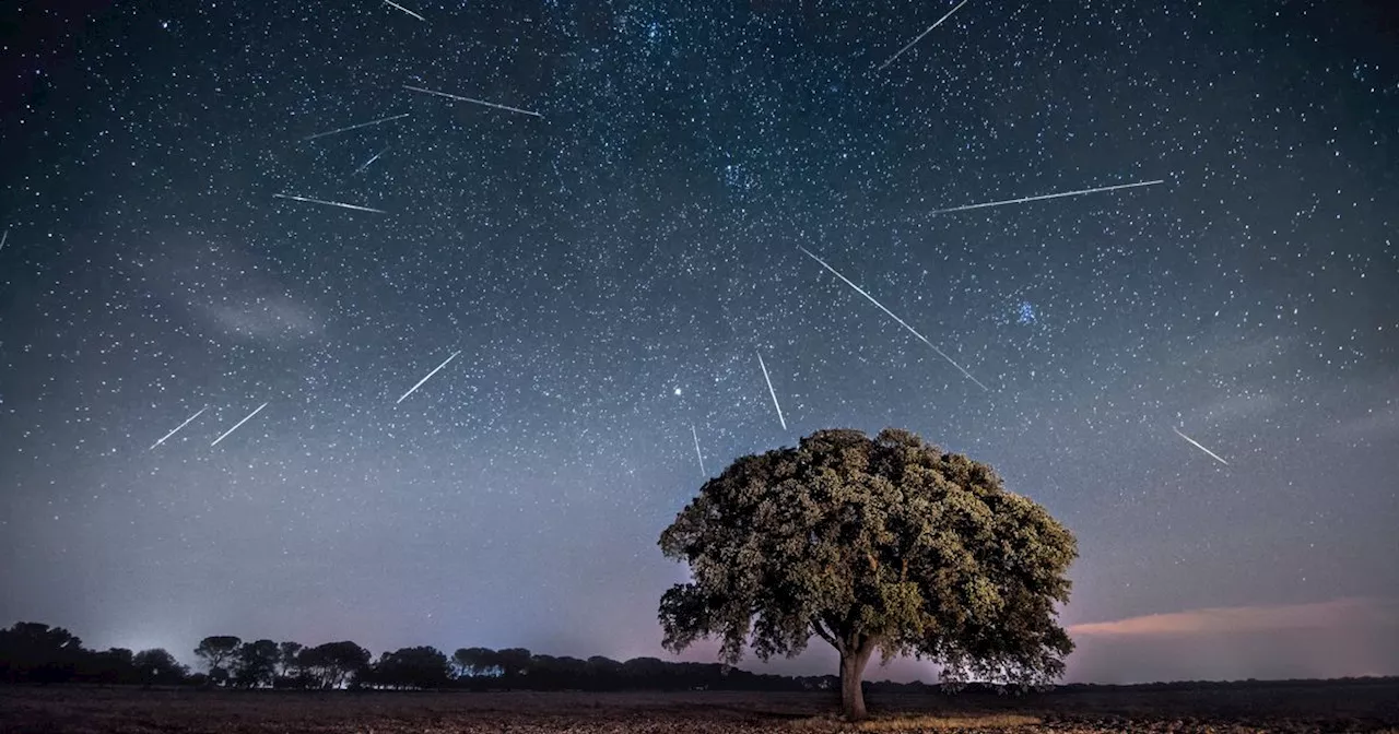 Ireland to Witness First Meteor Shower of 2025