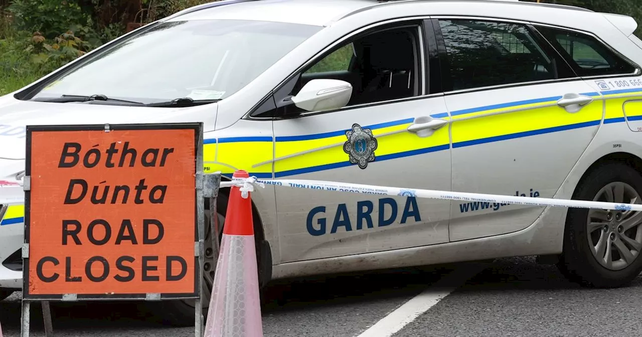 Man, 60s, dies after jeep crashes into electricity pole as gardai close road