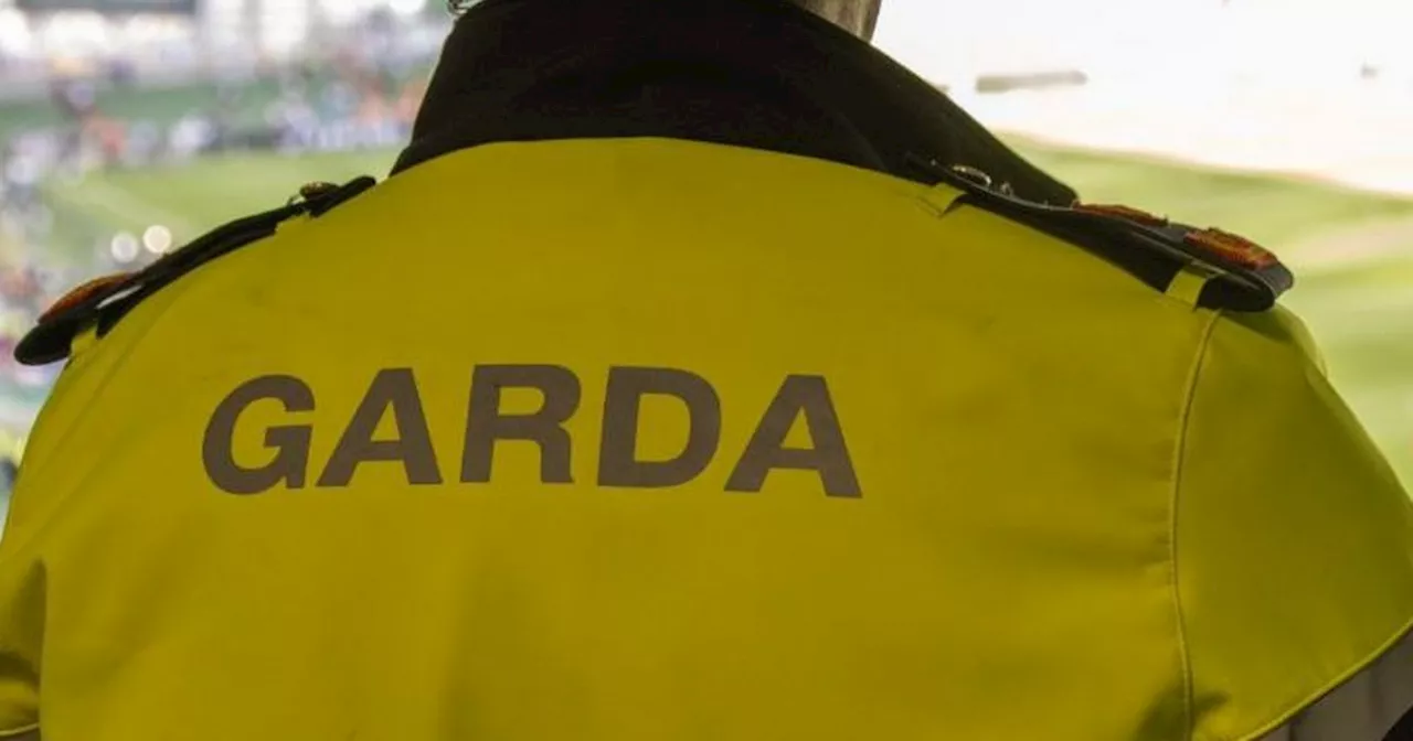 Top Garda suspended over alleged pub incident as GSOC recommends charges