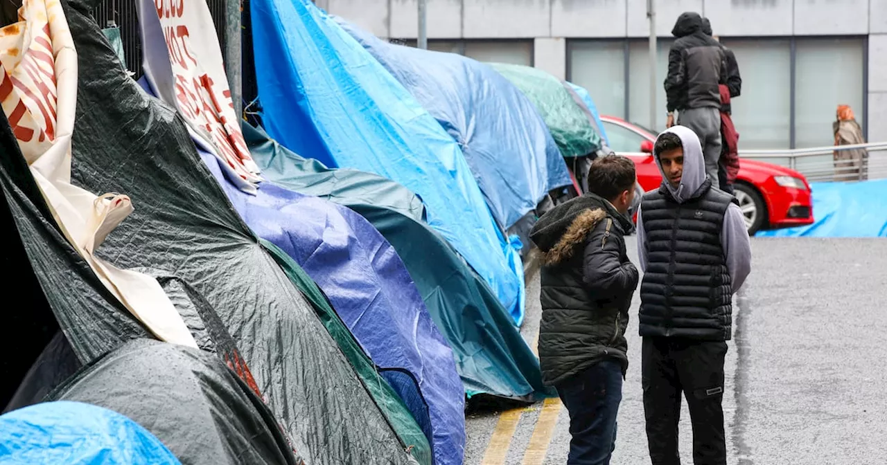 Ireland Lacks Plan for Surge in Asylum Seekers