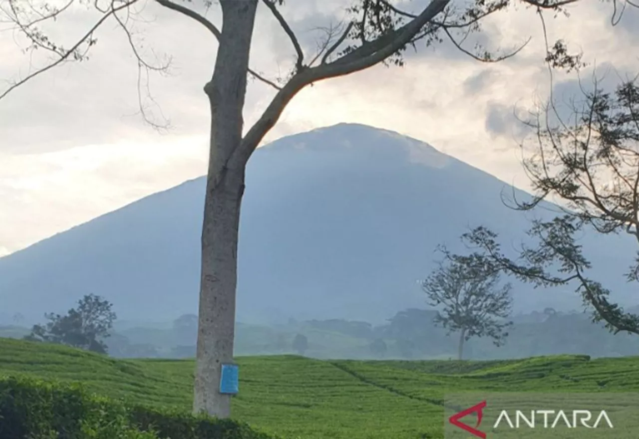 Diduga Hipotermia, Seorang Pendaki Tewas di Gunung Dempo