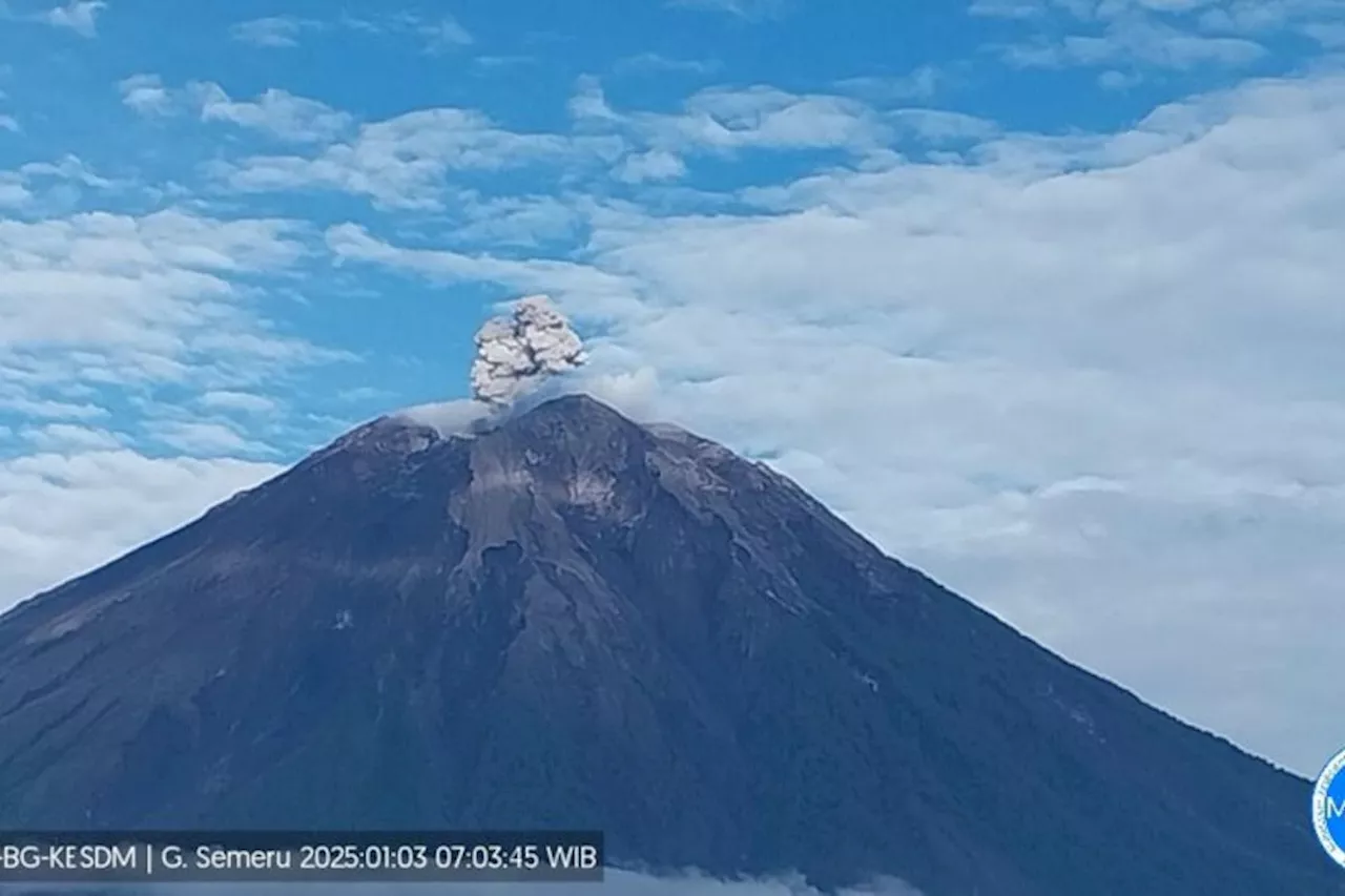 Gunung Semeru Erupsi Lagi