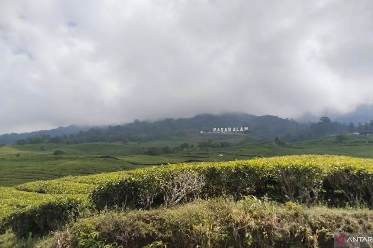 Pendaki Bengkulu Meninggal di Puncak Gunung Dempo