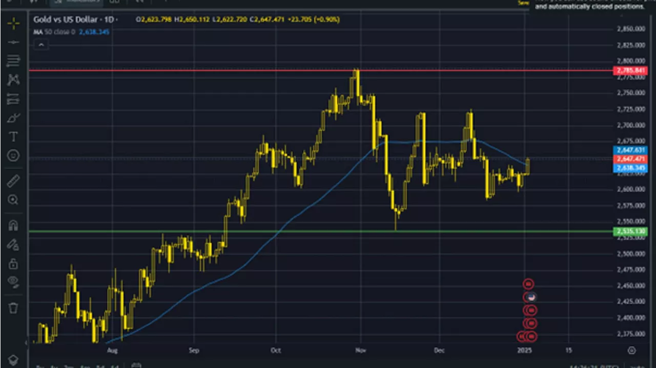 Gold Prices Rise at Start of 2025 After Strong 2024 Performance