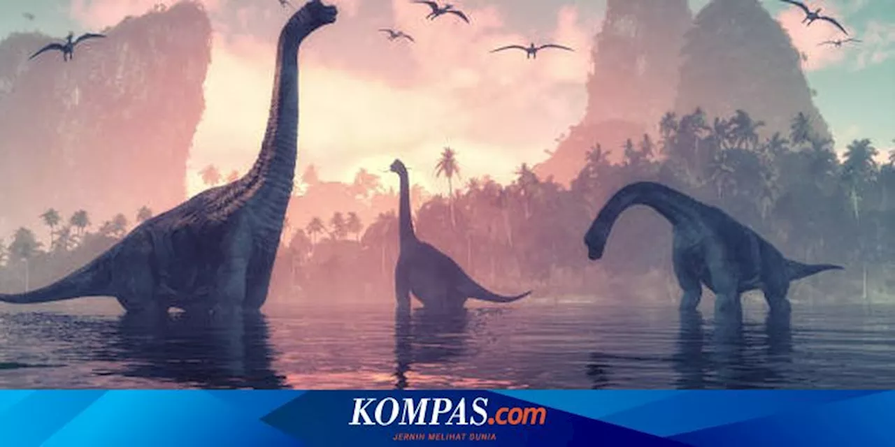 Letusan Gunung Berapi Tidak Menyebabkan Kepunahan Dinosaurus