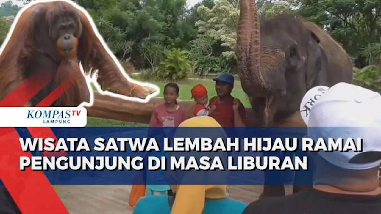 Lokasi Wisata Satwa Lembah Hijau Bandar Lampung Ramai di Kunjungi Warga