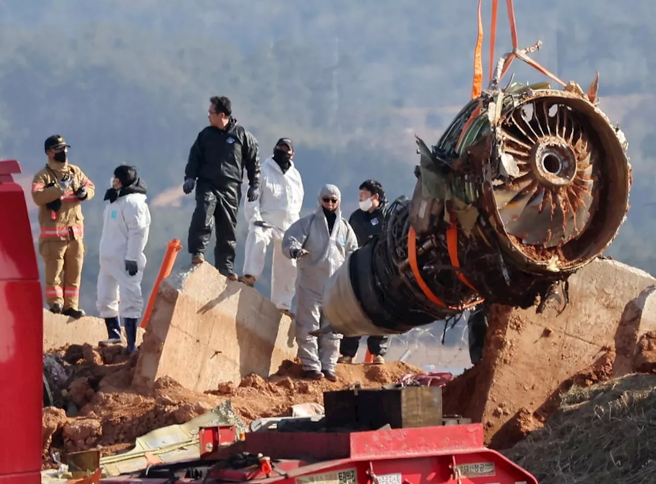 Retrait de l'épave du Boeing 737-800 à Muan