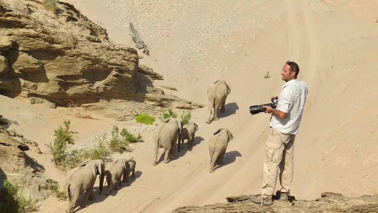 David Rey, 30 ans de passion pour la Namibie