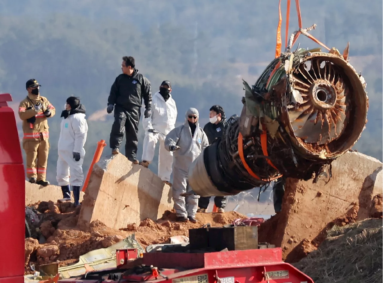 Accident d'avion en Corée du Sud: recherches sur les causes