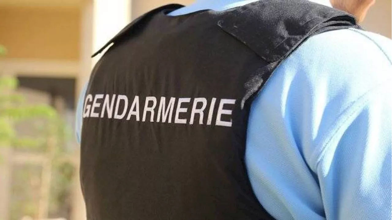 Corps d'une mère et de son fils retrouvés après leur disparition