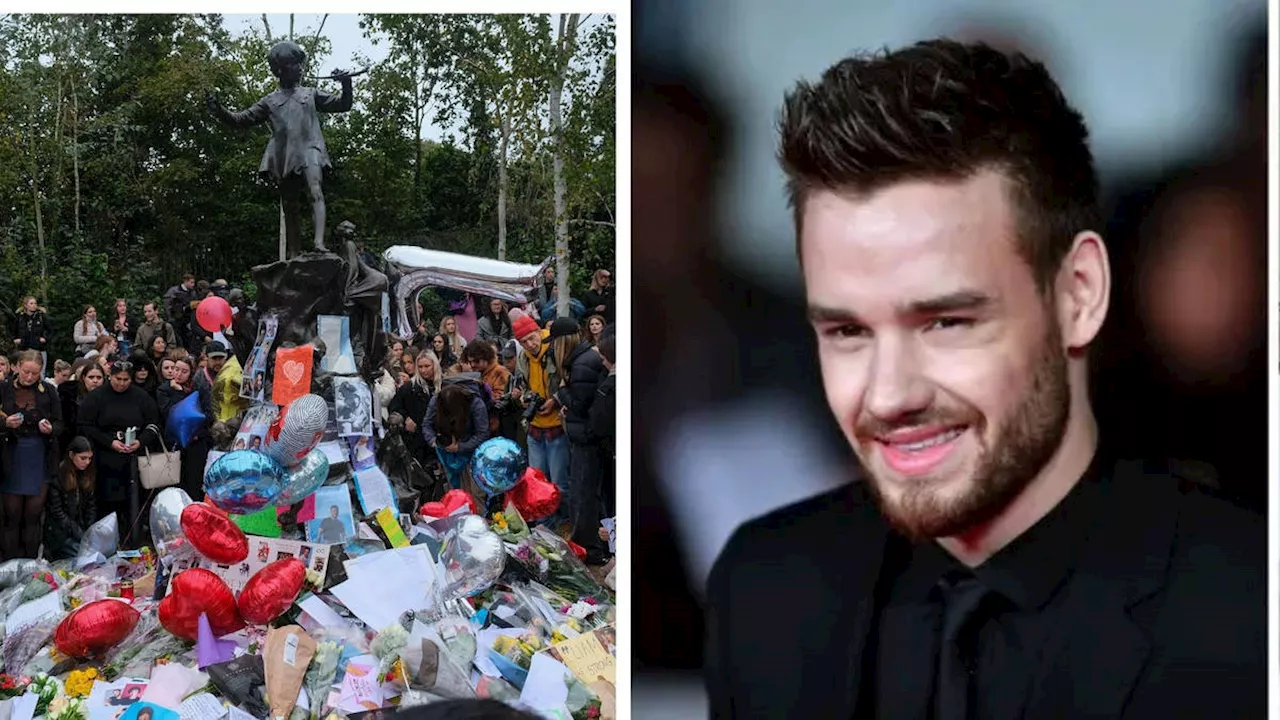 Liam Payne Cocaine Death: Waiter Arrested