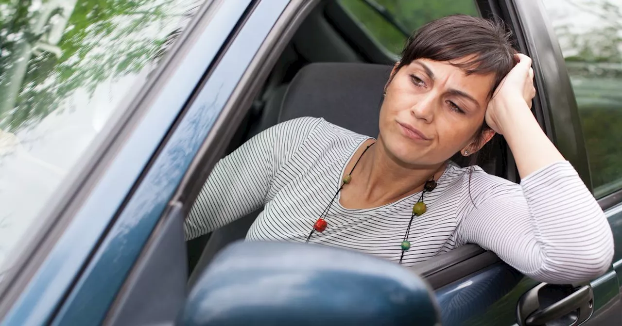 Driving Instructor Explains Common Road Sign Confusion