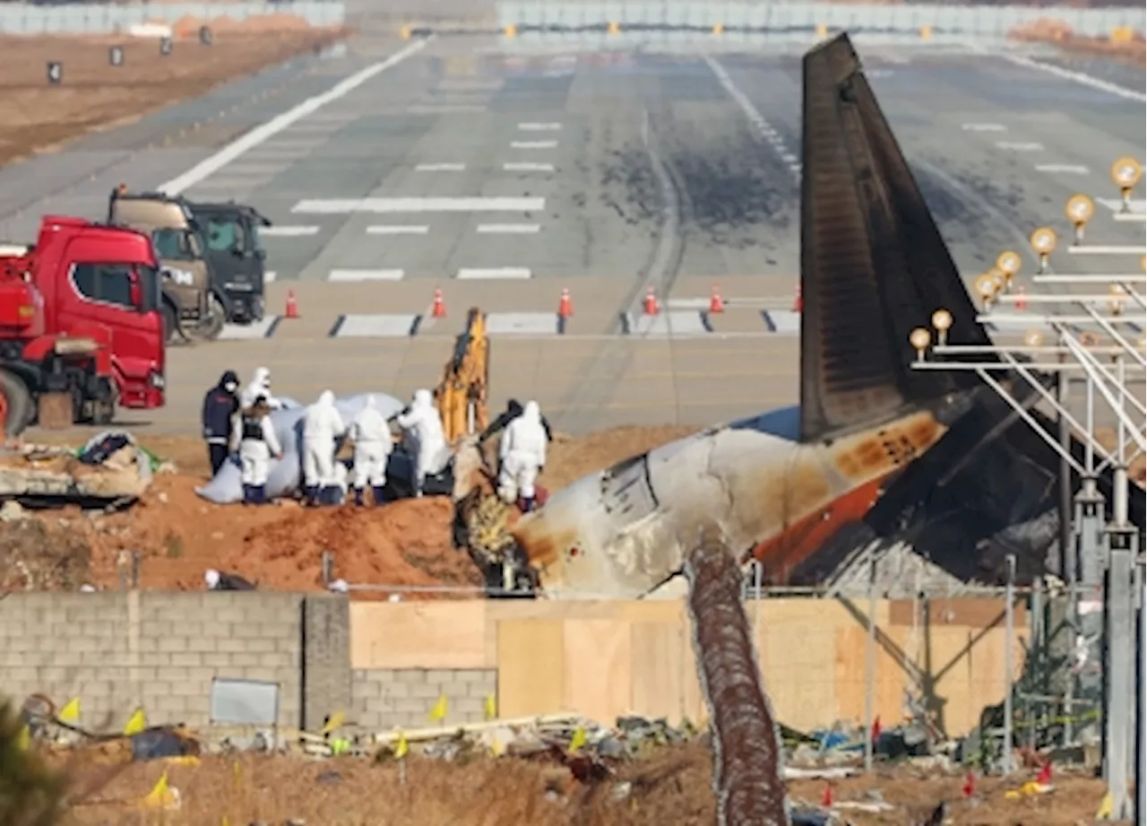 Jeju Air Plane Crash: Tail Section to be Lifted for Investigation