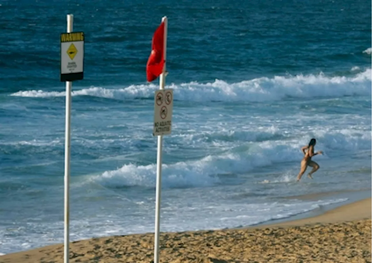 Police say missing surfer likely victim of ‘fatal shark attack’ off South Australia coast