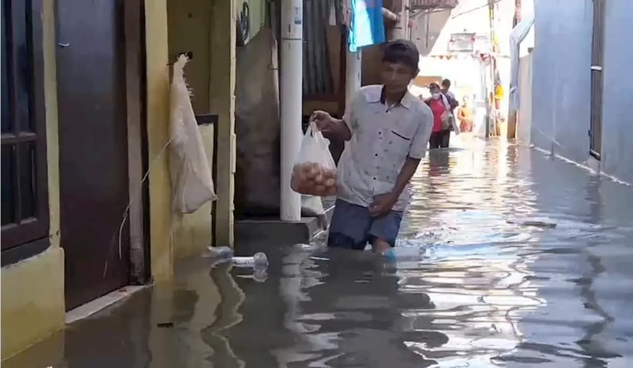 Banjir Rob Kembali Menderam Muara Angke