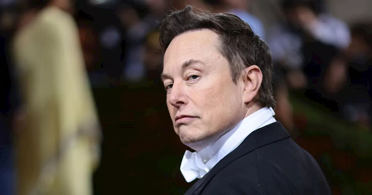 Elon Musk Slams UK Government Over Child Abuse Inquiry Decision