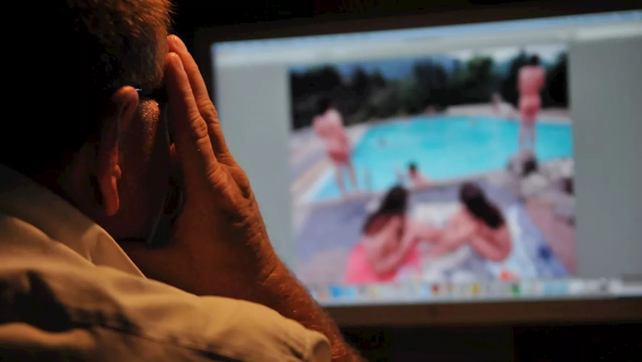 Alain D., 54 ans, condamné pour détention d'images pédopornographiques à Montpellier