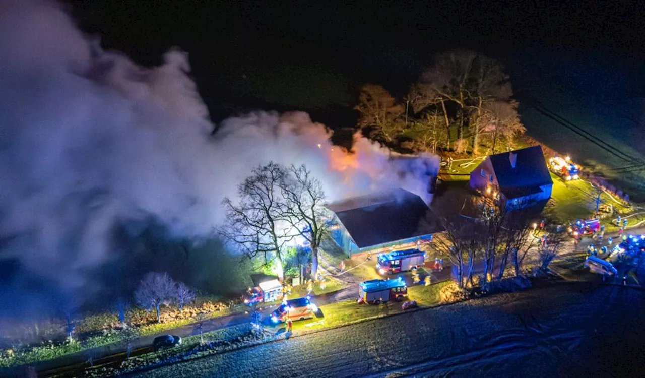 Brand zerstört Gartengerätehalle in Elsdorf