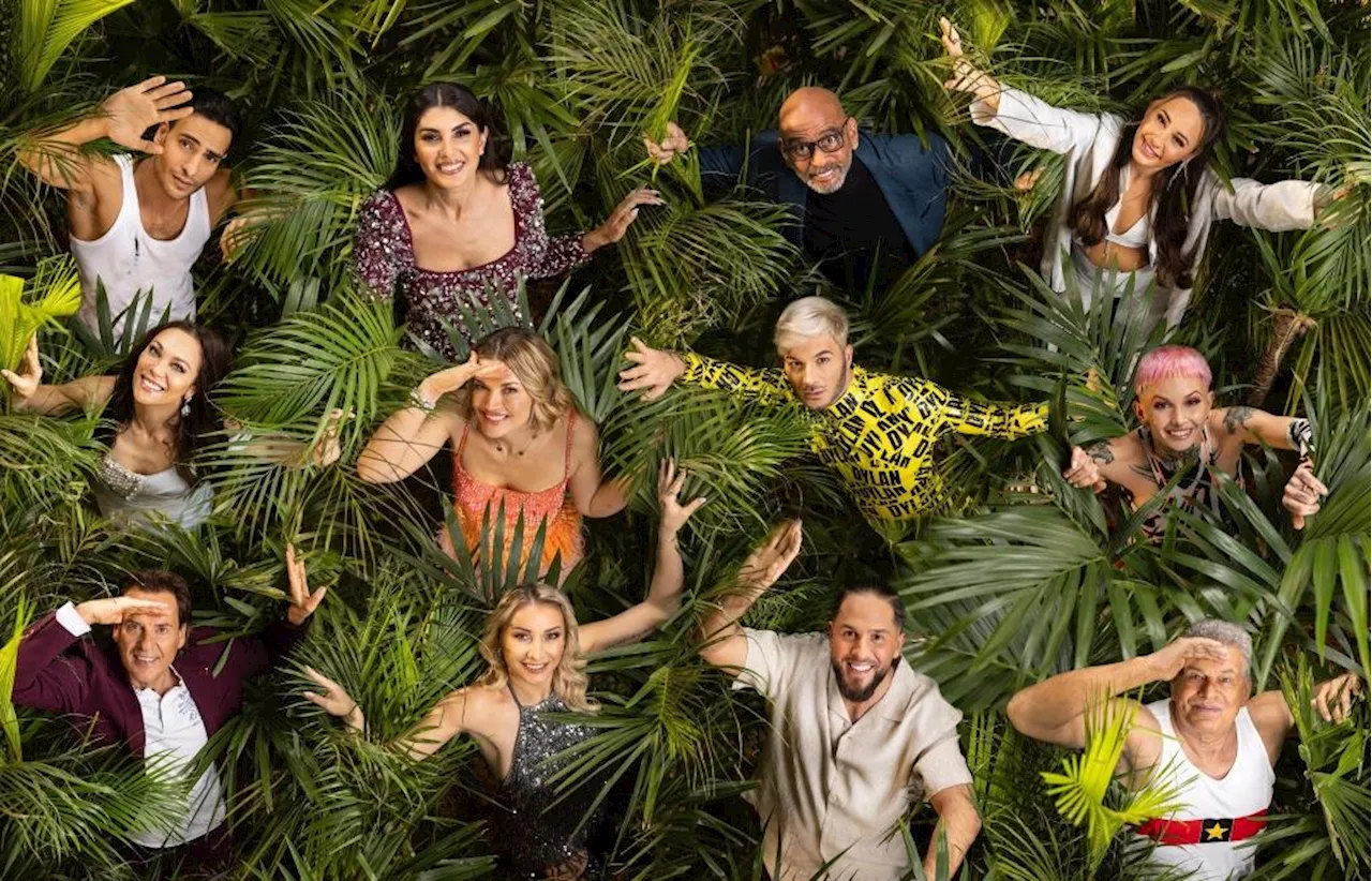 RTL beendet Spekulationen: Diese Stars ziehen ins Dschungelcamp 2025