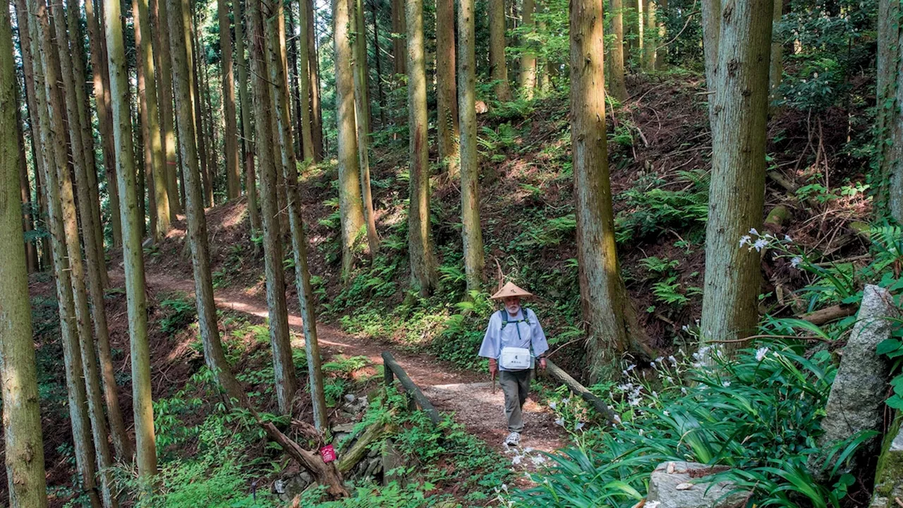 The Shikoku Henro: A Thousand-Year-Old Pilgrimage on Japan's Quiet Island