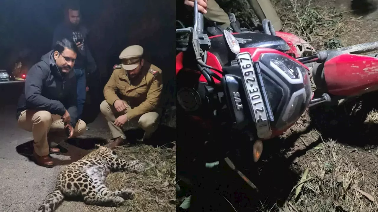 Moradabad Leopard Attack: जान बचाने के लिए तेंदुए से भिड़ गया युवक, काफी देर तक जिंदगी के लिए जंग हुई, फिर दोनों की मौत हो गई