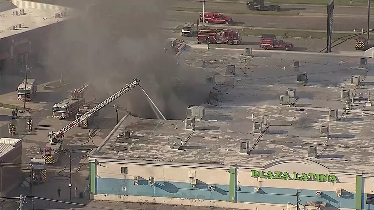 Hundreds of Animals Killed in Dallas Business Fire