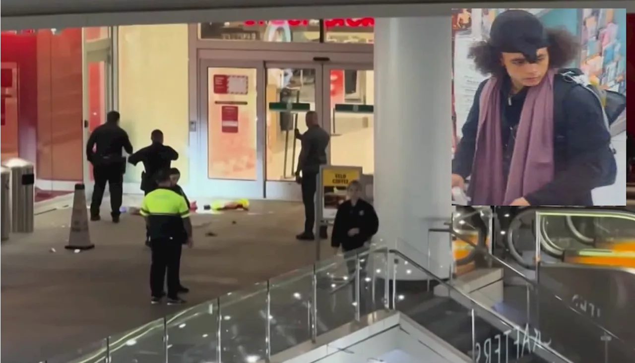 Man Charged With Attempted Murder After Shooting Security Guards at Los Angeles Target