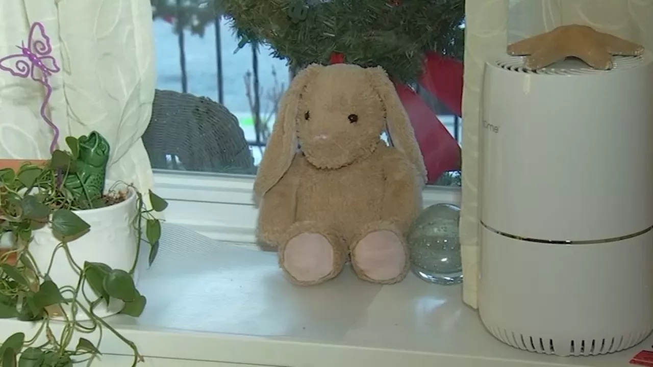 Lost Bunny Found After Social Media Appeal