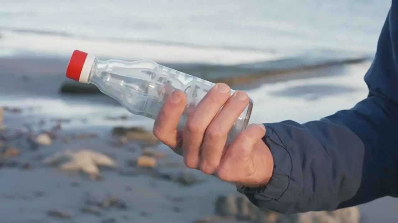 Messages in a Bottle: Man Seeks Family of Letters Found on Massachusetts Beach