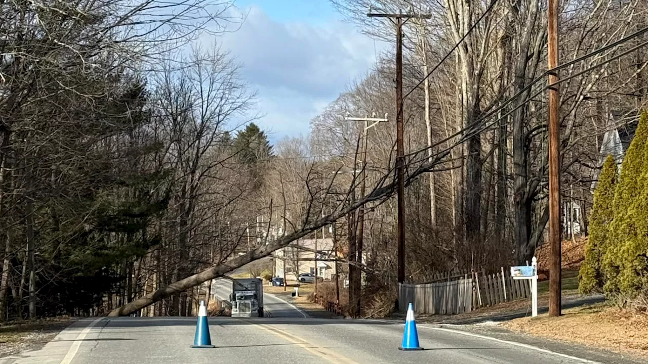 Windy Weather Causes Power Outages and Flight Delays in New England