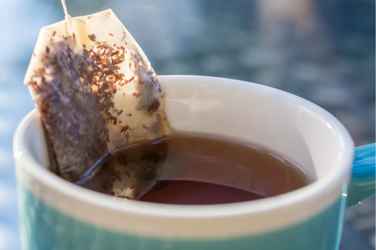 Billions of Plastic Particles Found in Some Tea Bags