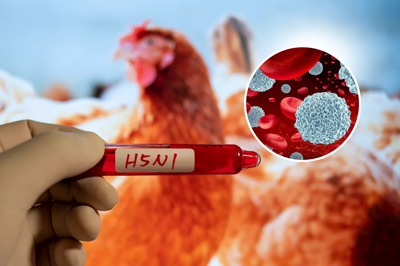 Pre-existing Immunity to Bird Flu May Offer Protection, Study Suggests