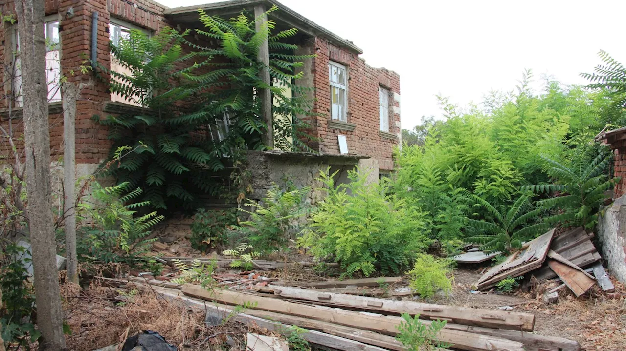 Abandoned Farmland: A Global Phenomenon