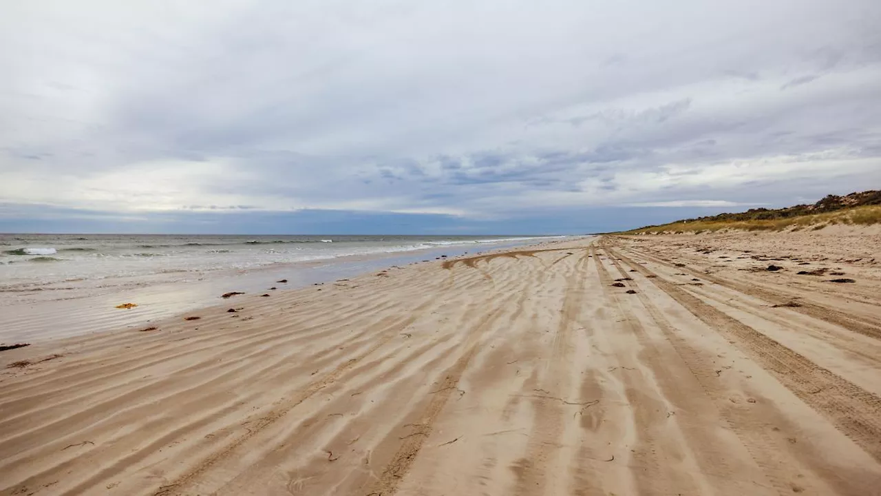 Vermisster Surfer nach Haiangriff in Australien