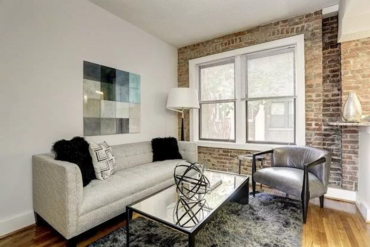 Cozy One Bedroom Apartment in Vibrant Adams Morgan