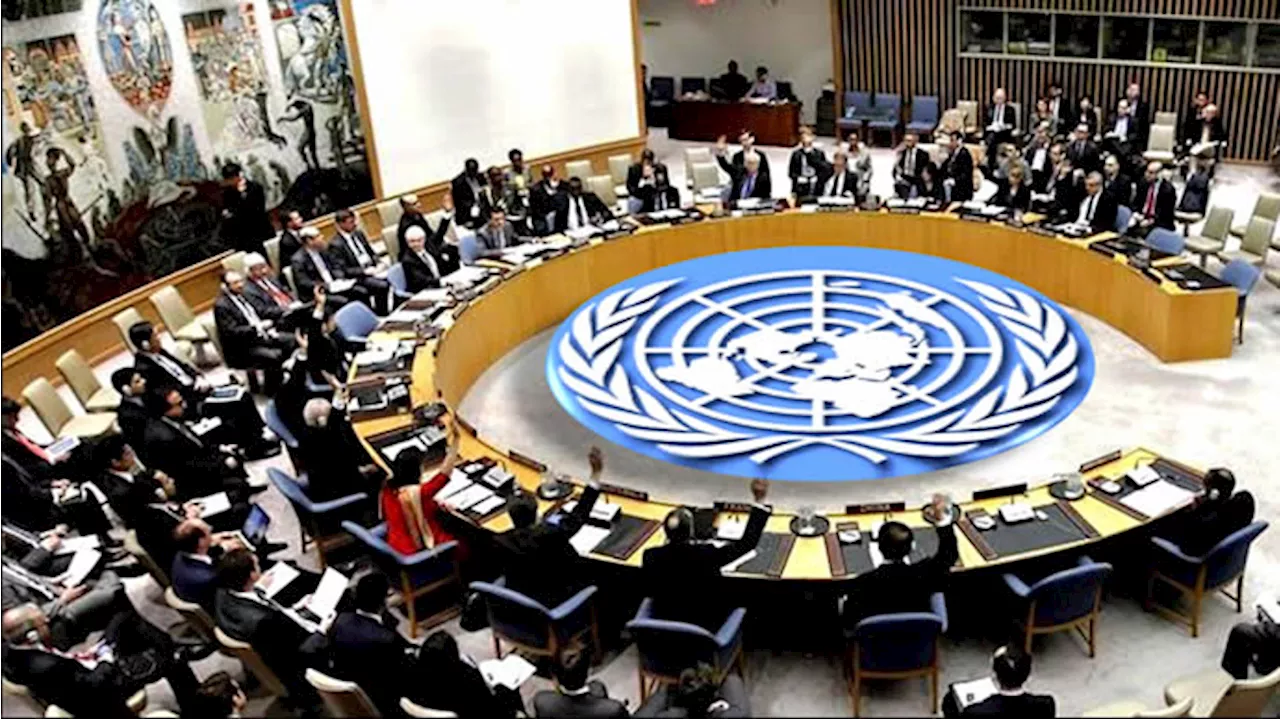 New Members Join UN Security Council for 2025-2026