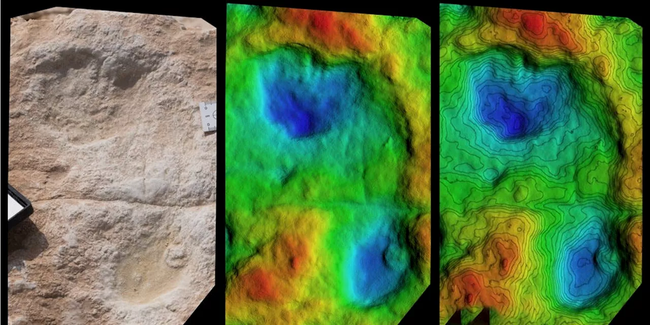 Ancient Footprints in Saudi Arabia Reveal Pre-Ice Age Human Activity