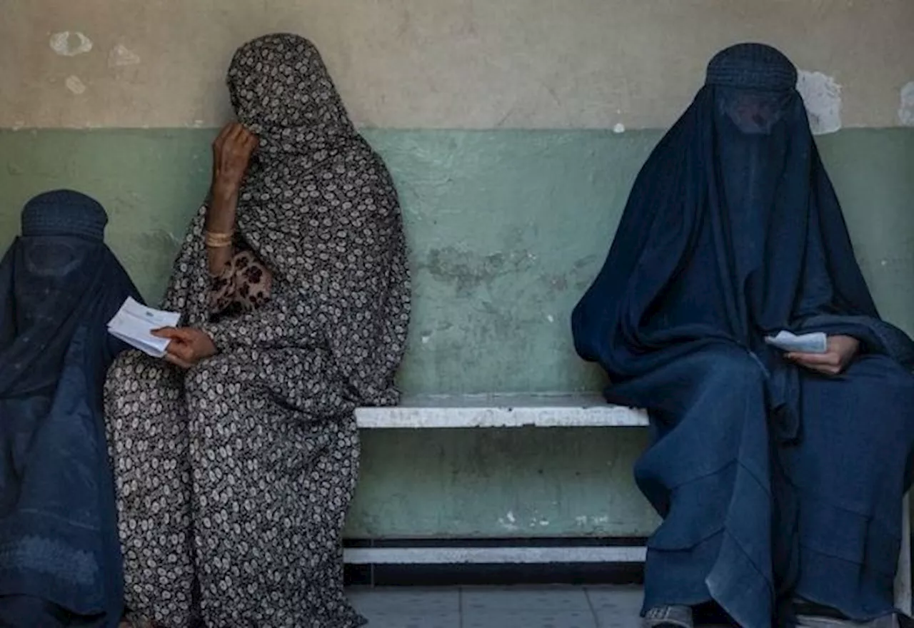 Talibã proíbe janelas para áreas usadas por mulheres no Afeganistão