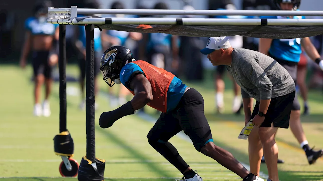 Jaguars' Injury Report: Two Players Questionable for Season Finale