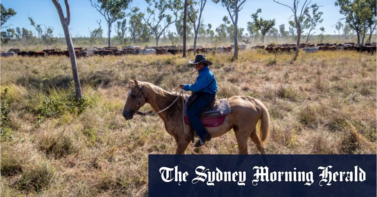 Aboriginal Creation Story Recounts the Origin of Sacred Site