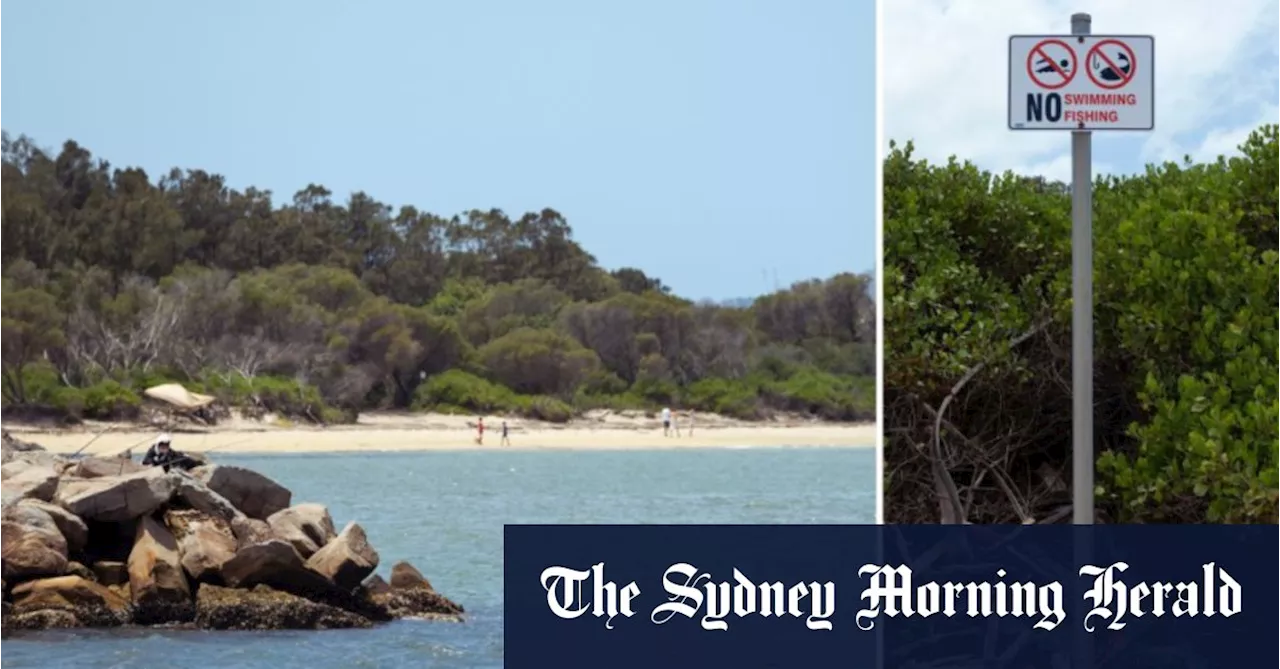 Sydney Airport Beach Remains Open Despite 'Forever Chemicals' Contamination