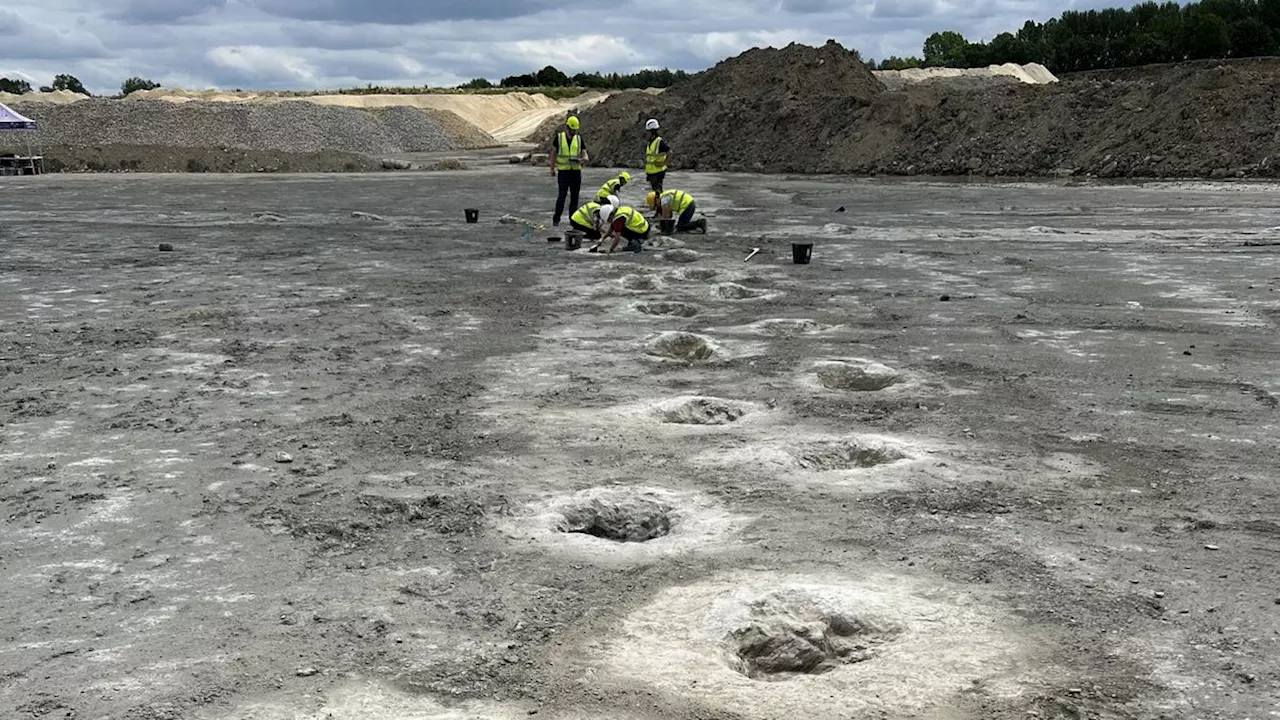 Riesige Dinosaurier-Fußabdrücke in Oxfordshire entdeckt